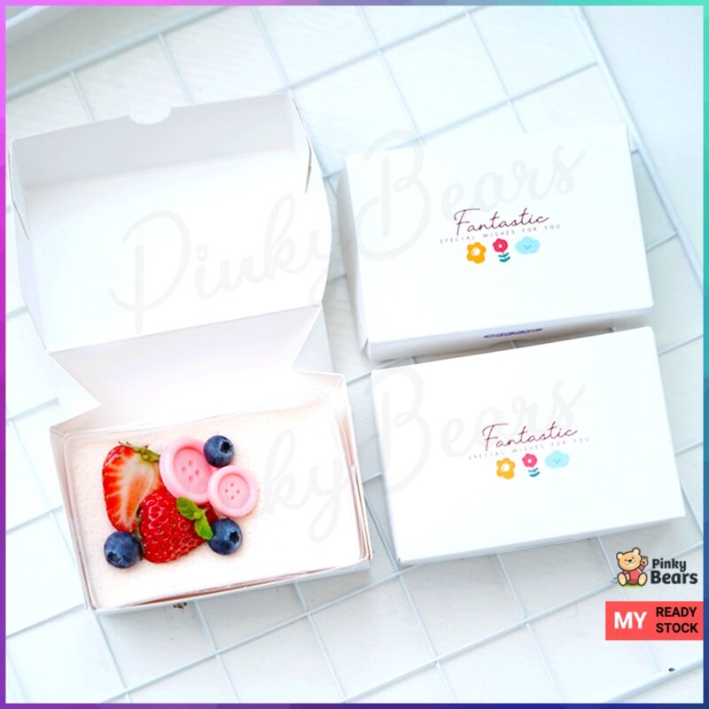 INS Korea Cake Box with Plastic Case